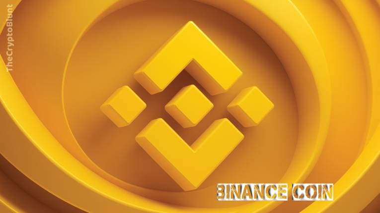 What is Binance Coin?