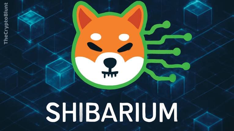 what is shibarium
