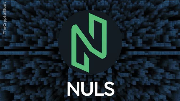 what is nuls