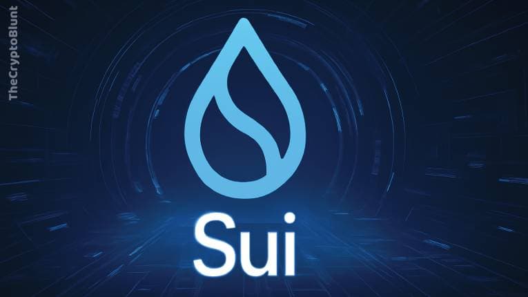 What is Sui?