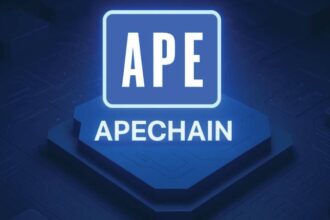 What is ApeChain?