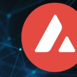 What is Avalanche?