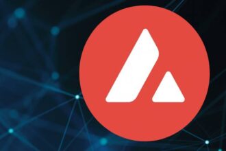 What is Avalanche?