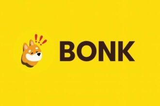 What is Bonk?