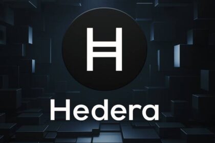 What is Hedera?