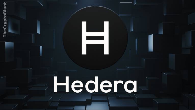 What is Hedera?