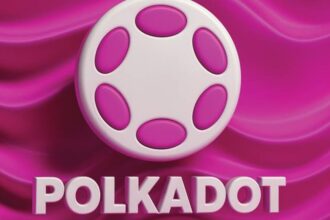 What is Polkadot?
