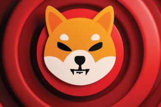 What is Shiba Inu? 