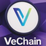 What is VeChain?