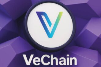 What is VeChain?