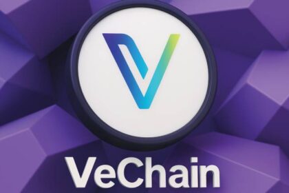 What is VeChain?