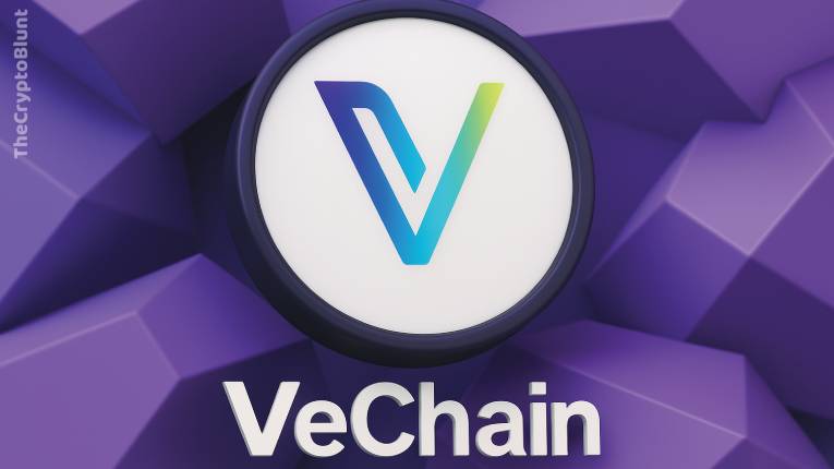 What is VeChain?