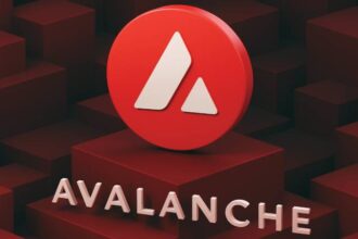 What is Avalanche?