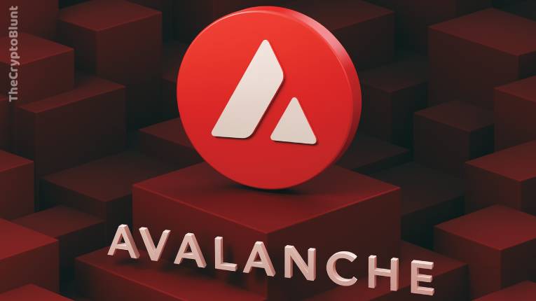 What is Avalanche?