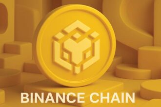 What is Binance Chain?