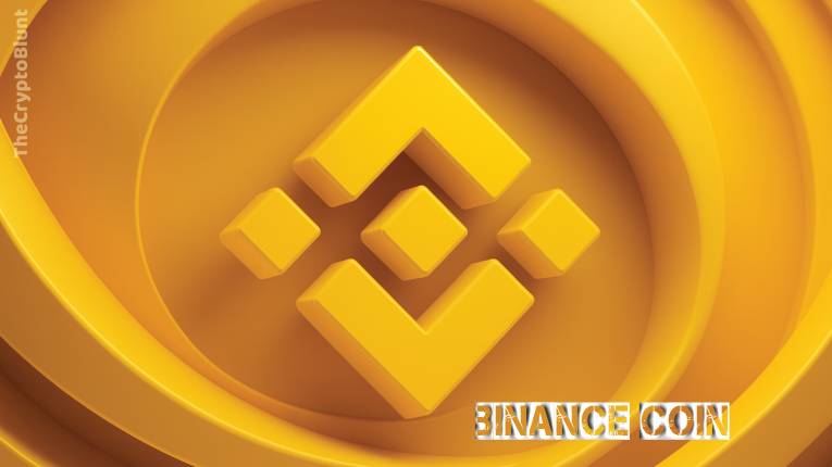 What is Binance Coin?