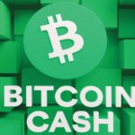 What is Bitcoin Cash?