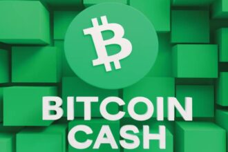 What is Bitcoin Cash?