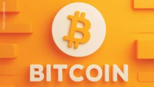 What is Bitcoin Ecosystem?