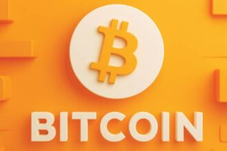 What is Bitcoin Ecosystem?