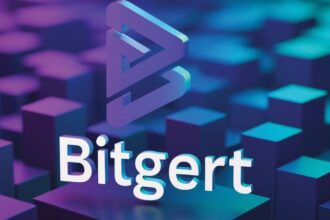 What is Bitgert?