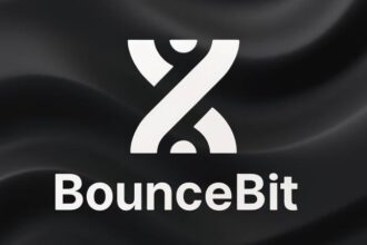 What is BounceBit?