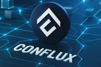 What is Conflux?