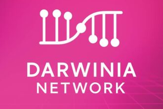 What is Darwinia Network?