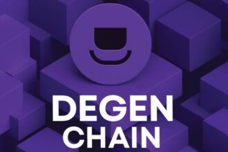 What is Degen Chain?