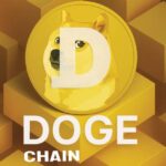 What is DogeChain?