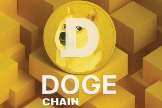 What is DogeChain?