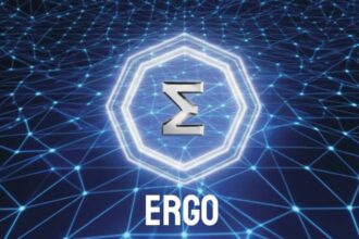 What is Ergo?