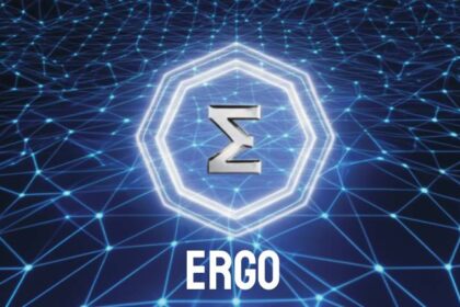 What is Ergo?