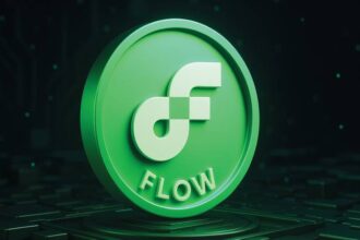 What is Flow?