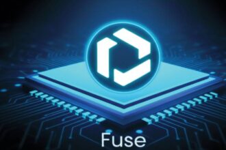 what is fuse