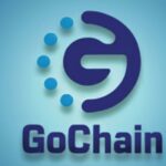 what is gochain