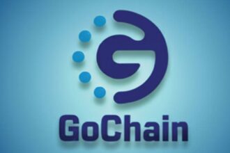 what is gochain