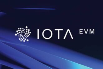 what is iota evm