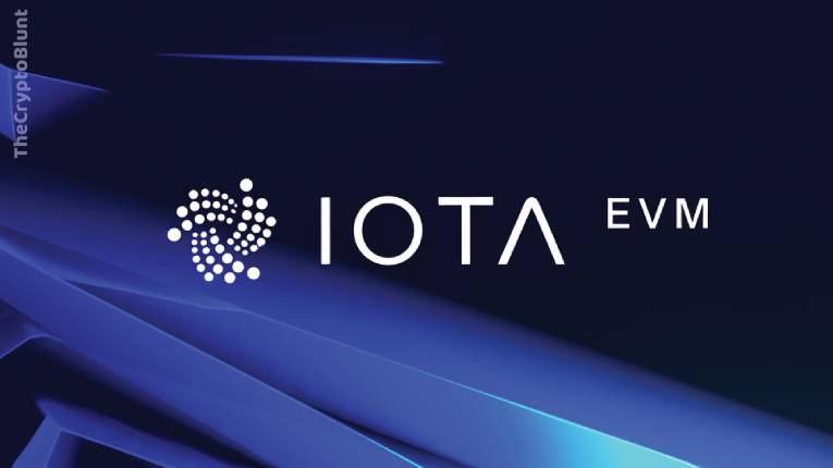 what is iota evm