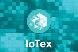 what is iotex
