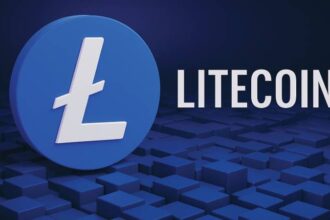 What is Litecoin? What It Is, Overview, Works, Guides, Everything You Need to Know
