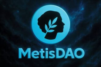what is metisdao