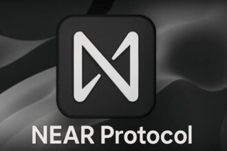 what is near protocol