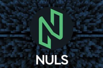 what is nuls