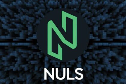 what is nuls