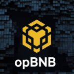 what is opbnb