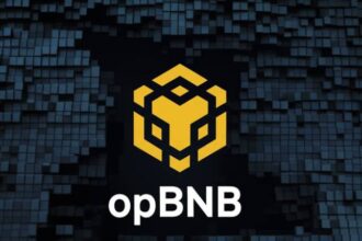 what is opbnb
