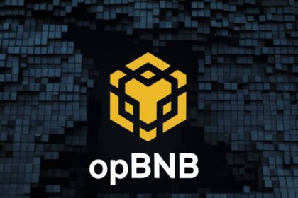 what is opbnb