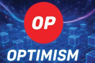 what is optimism