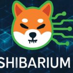 what is shibarium